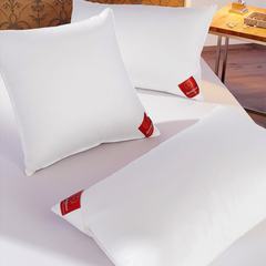 BRINKHAUS DOWN SURROUND pagalvė | Interjero dekoras ir dovanos  | SILUETI e-boutique 